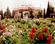 荷泽天气预报15天