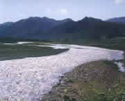 迭部天气预报7天