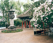 黑水天气预报7天